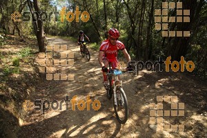 Esportfoto Fotos de Montseny Extrem 2014 1404675904_15156.jpg Foto: David Fajula