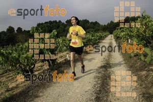 Esportfoto Fotos de XVIII Cursa de la Vinya - Sant Llorenç d'Hortons 1410094827_00239.jpg Foto: Jordi Isasa