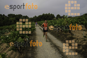 Esportfoto Fotos de XVIII Cursa de la Vinya - Sant Llorenç d'Hortons 1410094839_00245.jpg Foto: Jordi Isasa