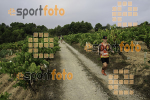 Esportfoto Fotos de XVIII Cursa de la Vinya - Sant Llorenç d'Hortons 1410094850_00250.jpg Foto: Jordi Isasa