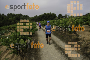 Esportfoto Fotos de XVIII Cursa de la Vinya - Sant Llorenç d'Hortons 1410094865_00257.jpg Foto: Jordi Isasa