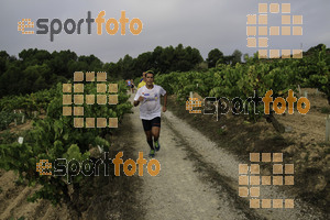 Esportfoto Fotos de XVIII Cursa de la Vinya - Sant Llorenç d'Hortons 1410095708_00261.jpg Foto: Jordi Isasa