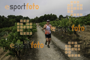 Esportfoto Fotos de XVIII Cursa de la Vinya - Sant Llorenç d'Hortons 1410095782_00295.jpg Foto: Jordi Isasa