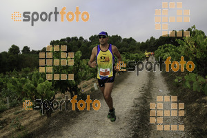 Esportfoto Fotos de XVIII Cursa de la Vinya - Sant Llorenç d'Hortons 1410096603_00311.jpg Foto: Jordi Isasa