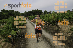 Esportfoto Fotos de XVIII Cursa de la Vinya - Sant Llorenç d'Hortons 1410096638_00327.jpg Foto: Jordi Isasa