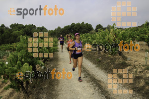 Esportfoto Fotos de XVIII Cursa de la Vinya - Sant Llorenç d'Hortons 1410096701_00356.jpg Foto: Jordi Isasa