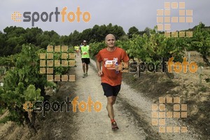 Esportfoto Fotos de XVIII Cursa de la Vinya - Sant Llorenç d'Hortons 1410097212_00365.jpg Foto: Jordi Isasa