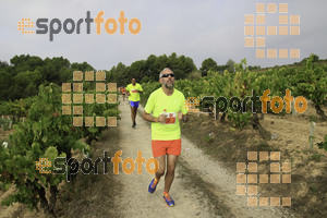 Esportfoto Fotos de XVIII Cursa de la Vinya - Sant Llorenç d'Hortons 1410097219_00368.jpg Foto: Jordi Isasa