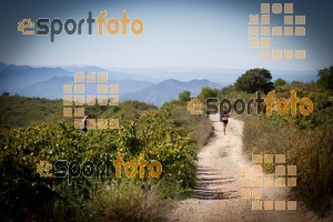 Esportfoto Fotos de UT de la Serra del Montsant 2014 1413760501_0001.jpg Foto: RawSport