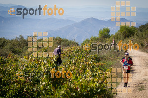 Esportfoto Fotos de UT de la Serra del Montsant 2014 1413760513_0008.jpg Foto: RawSport