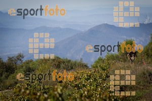 Esportfoto Fotos de UT de la Serra del Montsant 2014 1413760526_0015.jpg Foto: RawSport