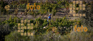 Esportfoto Fotos de UT de la Serra del Montsant 2014 1413797434_0176 Foto: RawSport