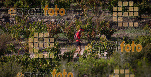 Esportfoto Fotos de UT de la Serra del Montsant 2014 1413797447_0192 Foto: RawSport
