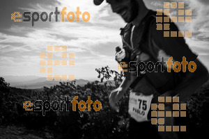Esportfoto Fotos de UT de la Serra del Montsant 2014 1413797486_0873.jpg Foto: RawSport