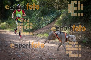 Esportfoto Fotos de 90 Canicross i Cursa Eramprunyà 2015 1424642741_0302.jpg Foto: RawSport