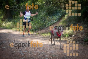 Esportfoto Fotos de 90 Canicross i Cursa Eramprunyà 2015 1424642760_0312.jpg Foto: RawSport