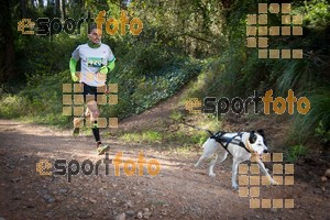 Esportfoto Fotos de 90 Canicross i Cursa Eramprunyà 2015 1424642772_0318.jpg Foto: RawSport