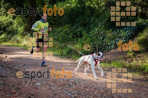 Esportfoto Fotos de 90 Canicross i Cursa Eramprunyà 2015 1424642819_0341.jpg Foto: RawSport