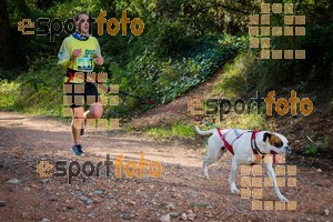 Esportfoto Fotos de 90 Canicross i Cursa Eramprunyà 2015 1424642821_0342.jpg Foto: RawSport