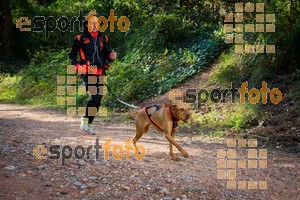 Esportfoto Fotos de 90 Canicross i Cursa Eramprunyà 2015 1424642844_0353.jpg Foto: RawSport