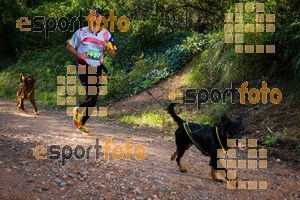 Esportfoto Fotos de 90 Canicross i Cursa Eramprunyà 2015 1424642956_0405.jpg Foto: RawSport