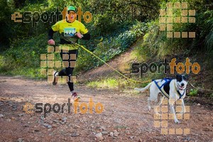 Esportfoto Fotos de 90 Canicross i Cursa Eramprunyà 2015 1424643021_0435.jpg Foto: RawSport