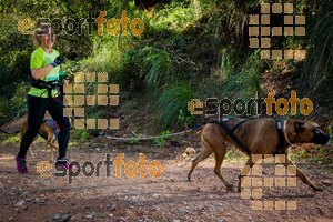 Esportfoto Fotos de 90 Canicross i Cursa Eramprunyà 2015 1424643048_0448.jpg Foto: RawSport