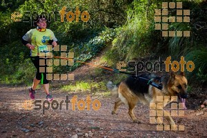 Esportfoto Fotos de 90 Canicross i Cursa Eramprunyà 2015 1424643057_0452.jpg Foto: RawSport