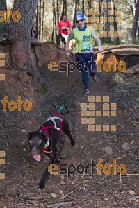 Esportfoto Fotos de 90 Canicross i Cursa Eramprunyà 2015 1424643217_0555.jpg Foto: RawSport