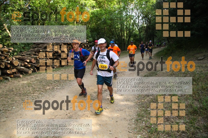 esportFOTO - Trail Fonts del Montseny - Viladrau - 2015 [1436106091_344.jpg]