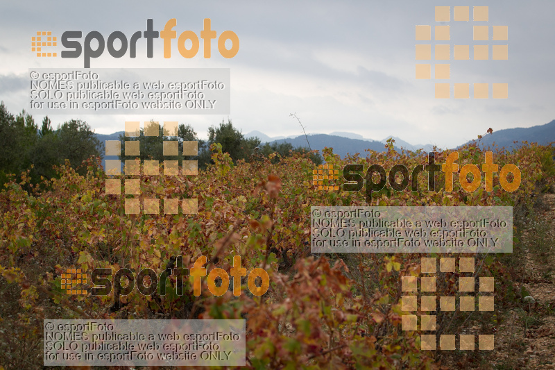 esportFOTO - UT de la Serra de Montsant 2015 [1445191060_2394.jpg]
