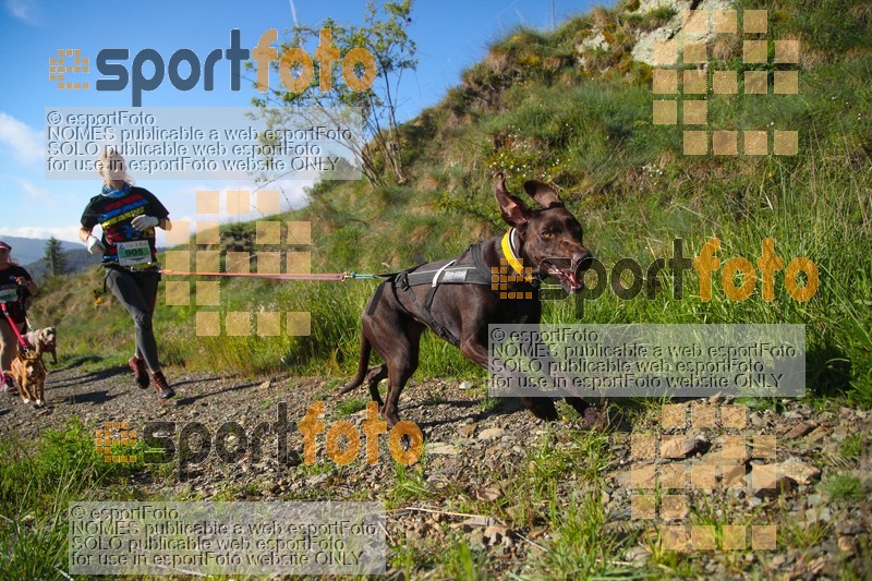esportFOTO - Canicross Batega al Bac 2017 [1495374610_00144.jpg]