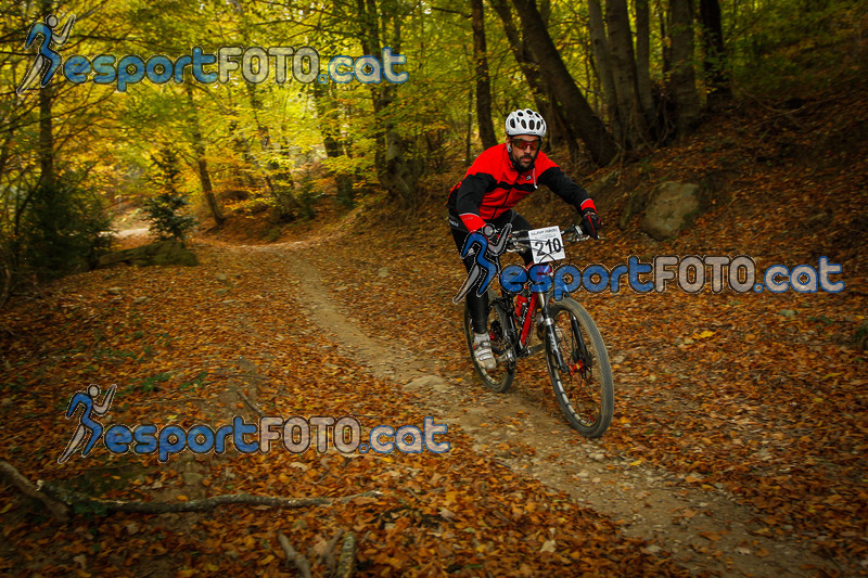 esportFOTO - VolcanoLimits Bike 2013 [1384123316_4876.jpg]