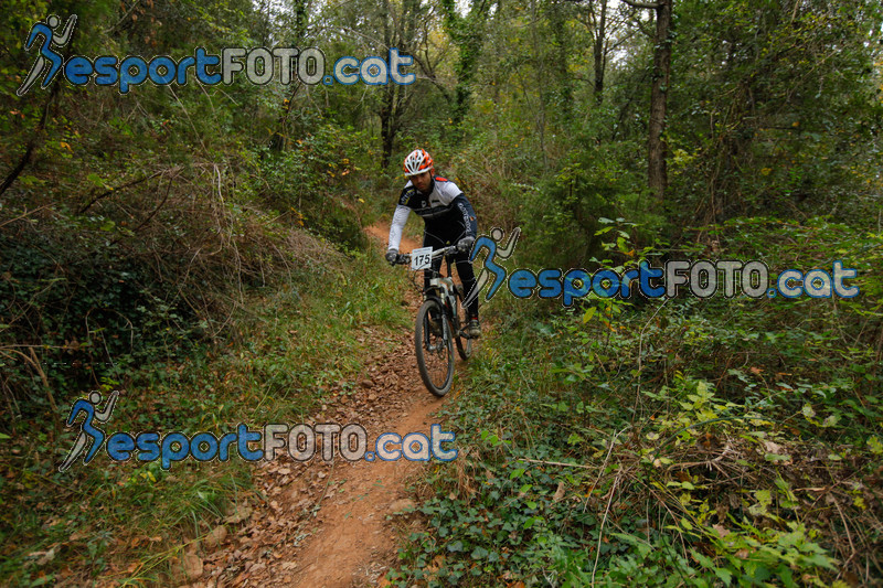 esportFOTO - VolcanoLimits Bike 2013 [1384127849_01487.jpg]
