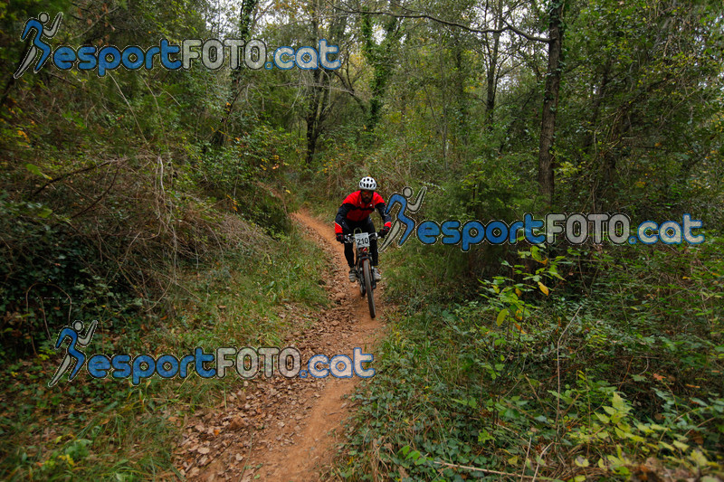 esportFOTO - VolcanoLimits Bike 2013 [1384129308_01534.jpg]