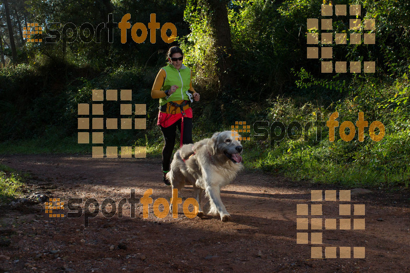 esportFOTO - II Mitja Marato de Muntanya i Canicross Eramprunyà [1391364472_BX0C0339.jpg]