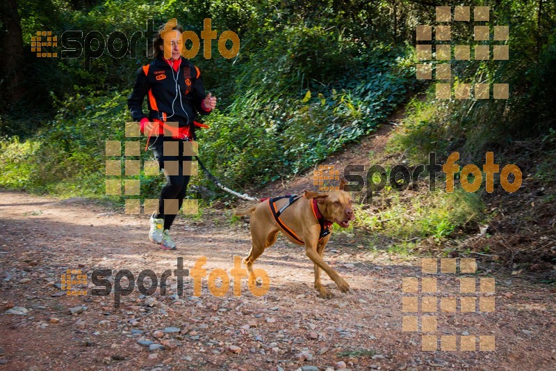 esportFOTO - 90 Canicross i Cursa Eramprunyà 2015 [1424642844_0353.jpg]