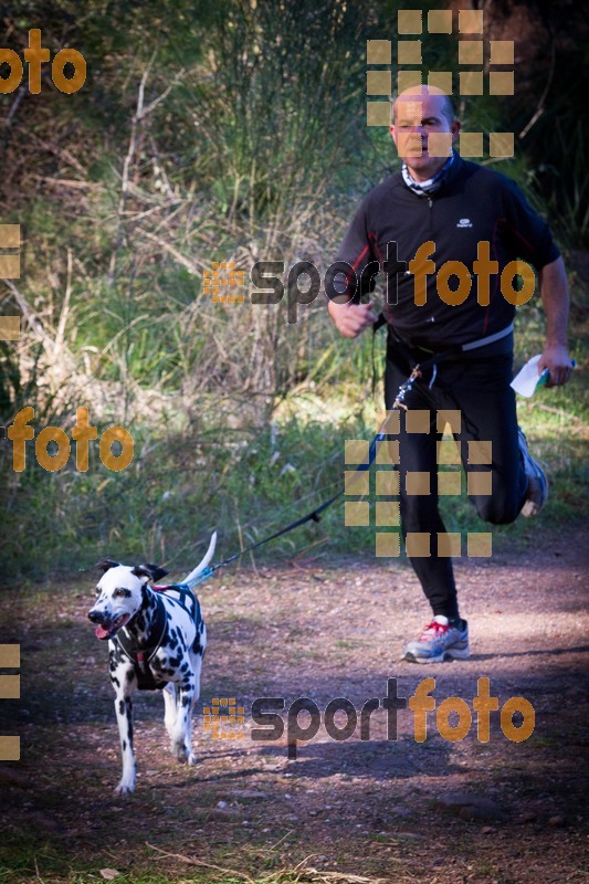 esportFOTO - 90 Canicross i Cursa Eramprunyà 2015 [1424682123_I5368.jpg]